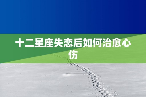 十二星座失恋后如何治愈心伤