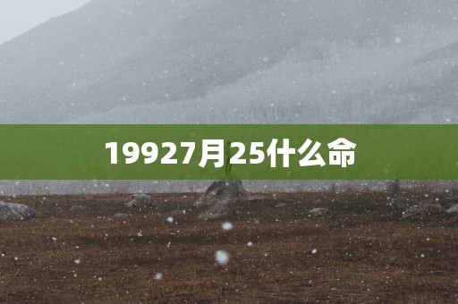 19927月25什么命