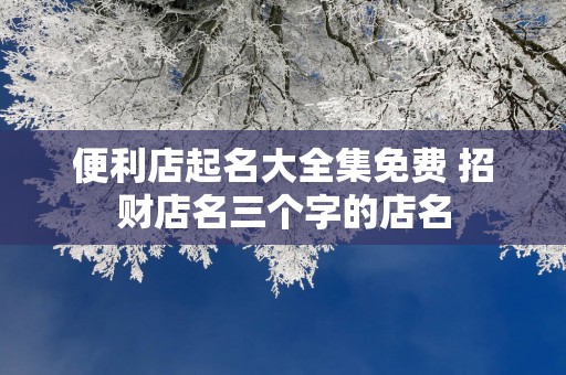 便利店起名大全集免费 招财店名三个字的店名