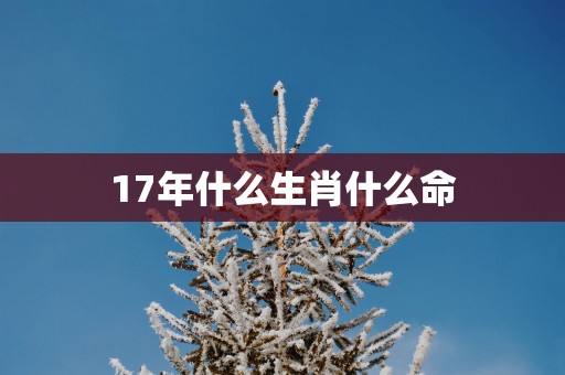 17年什么生肖什么命