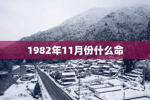 1982年11月份什么命
