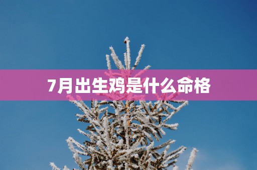 7月出生鸡是什么命格