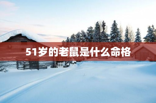 51岁的老鼠是什么命格