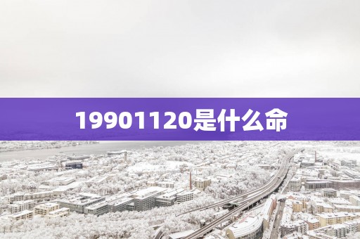 19901120是什么命