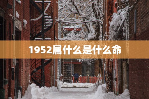 1952属什么是什么命