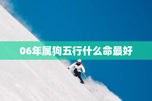 06年属狗五行什么命最好