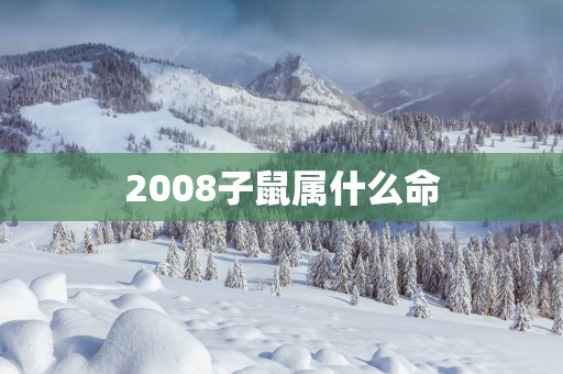2008子鼠属什么命