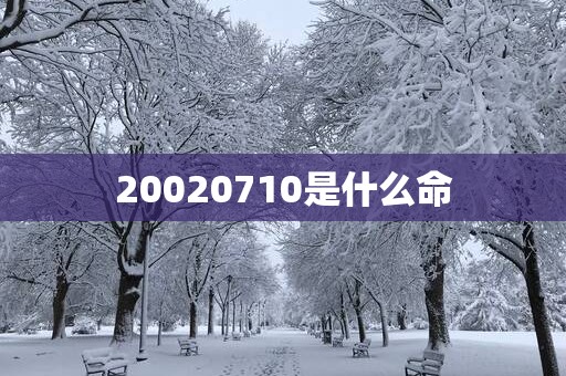 20020710是什么命