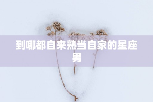 到哪都自来熟当自家的星座男
