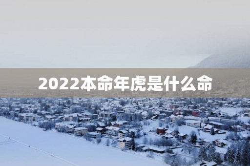 2025本命年虎是什么命