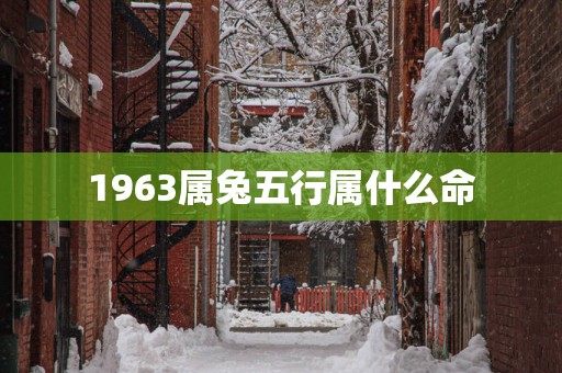 1963属兔五行属什么命