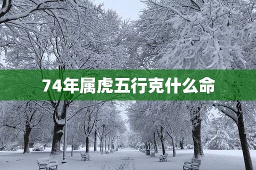 74年属虎五行克什么命