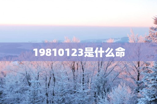 19810123是什么命