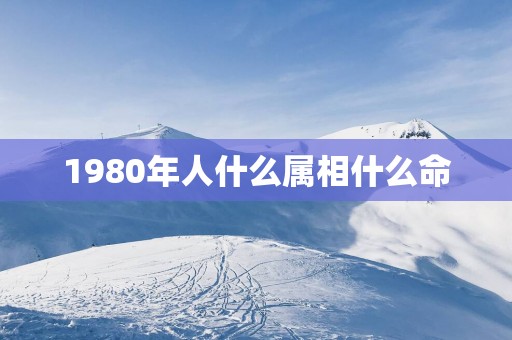 1980年人什么属相什么命