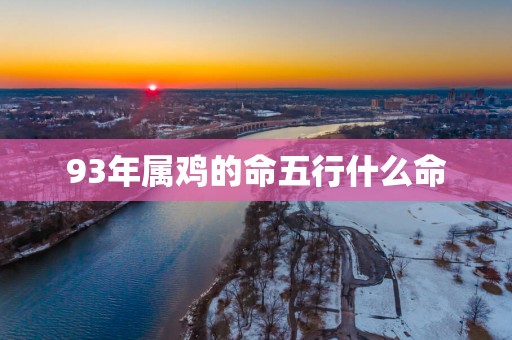 93年属鸡的命五行什么命