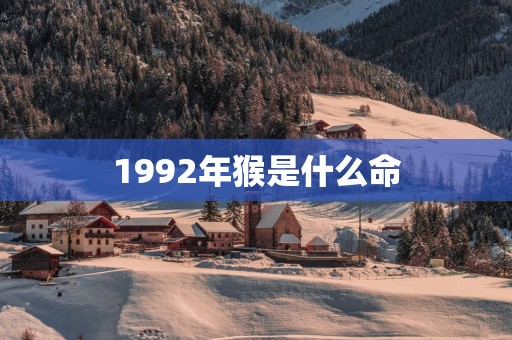 1992年猴是什么命