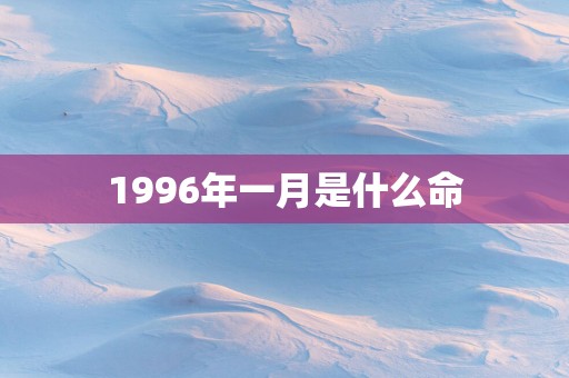 1996年一月是什么命