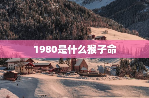 1980是什么猴子命