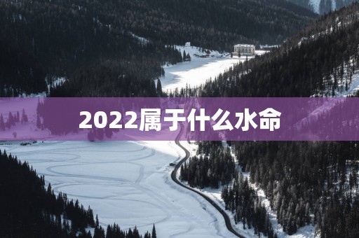 2025属于什么水命