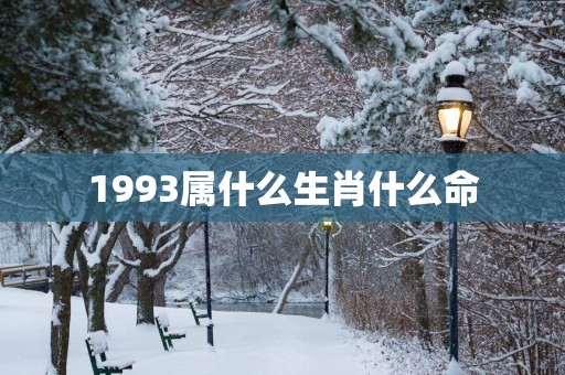 1993属什么生肖什么命