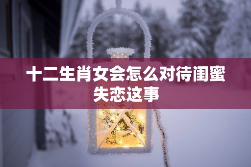 十二生肖女会怎么对待闺蜜失恋这事