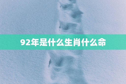 92年是什么生肖什么命