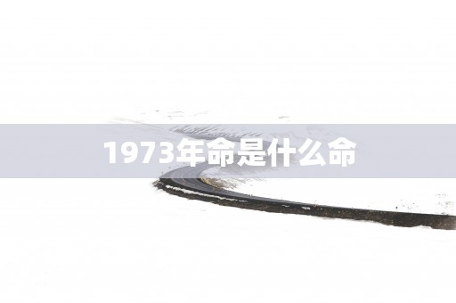 1973年命是什么命