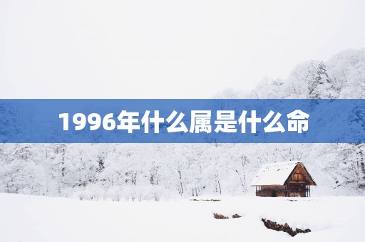 1996年什么属是什么命
