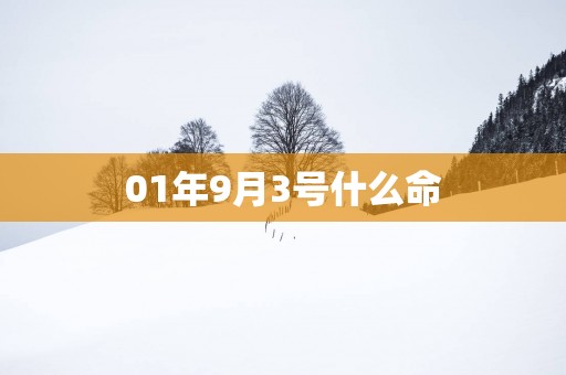 01年9月3号什么命
