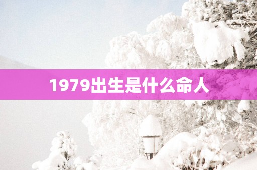 1979出生是什么命人