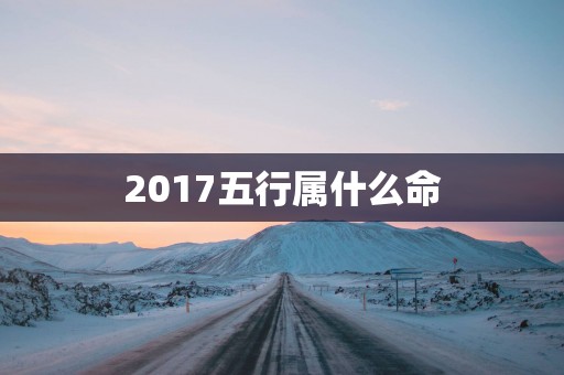 2017五行属什么命