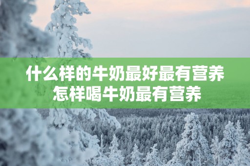 什么样的牛奶最好最有营养 怎样喝牛奶最有营养