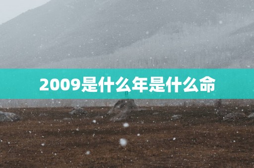 2009是什么年是什么命