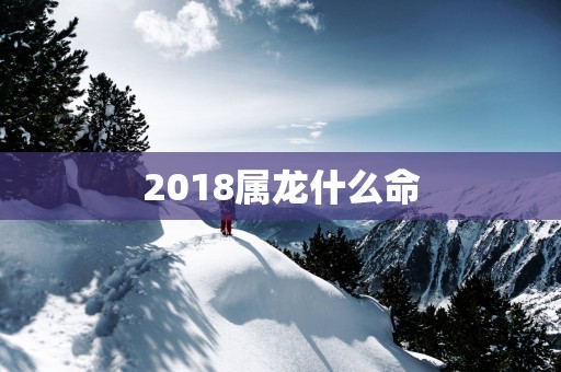 2018属龙什么命