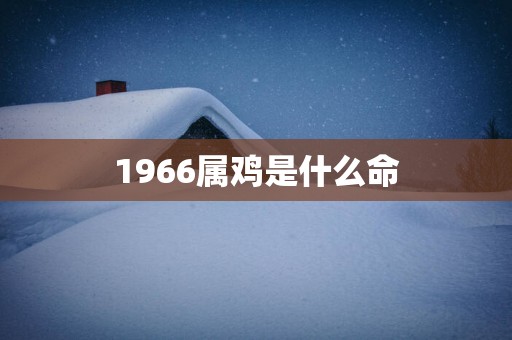 1966属鸡是什么命