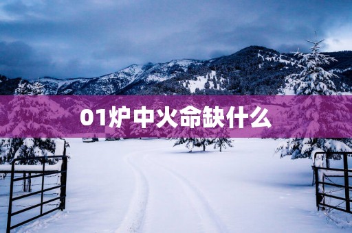 01炉中火命缺什么