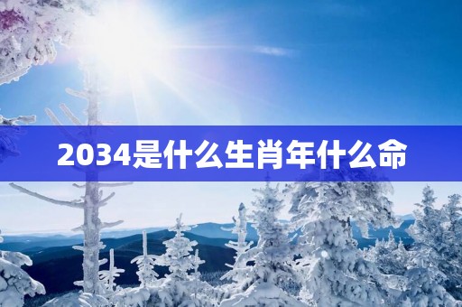 2034是什么生肖年什么命