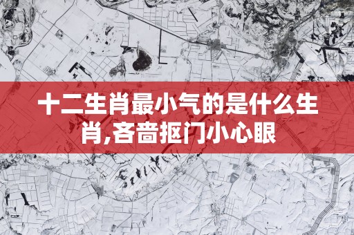 十二生肖最小气的是什么生肖,吝啬抠门小心眼