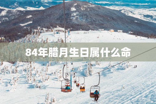 84年腊月生日属什么命