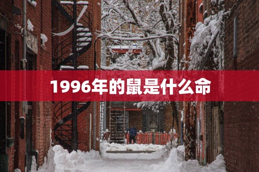 1996年的鼠是什么命