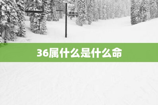 36属什么是什么命