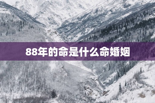 88年的命是什么命婚姻