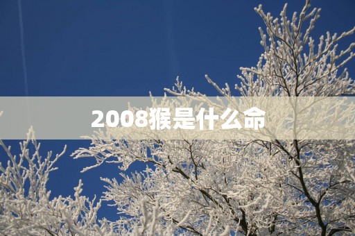 2008猴是什么命