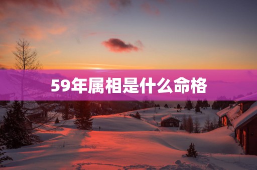 59年属相是什么命格