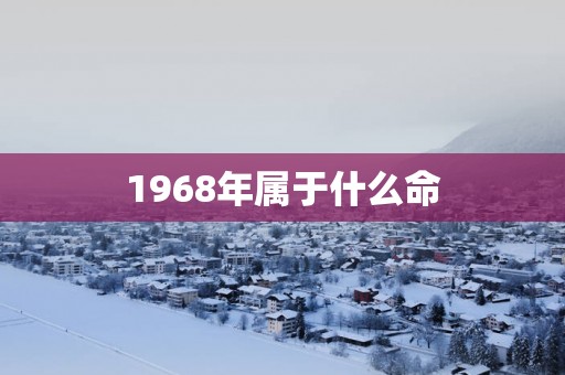 1968年属于什么命