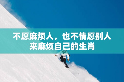 不愿麻烦人，也不情愿别人来麻烦自己的生肖