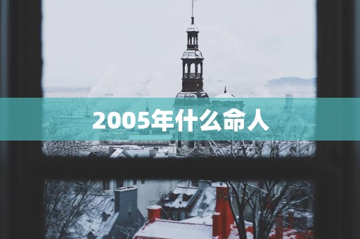 2005年什么命人