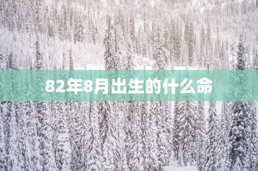 82年8月出生的什么命