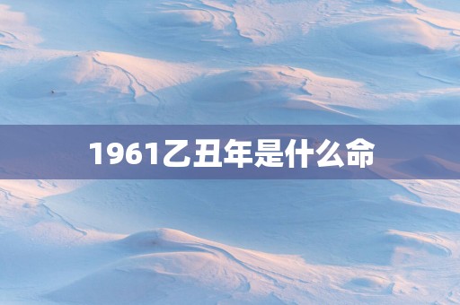 1961乙丑年是什么命