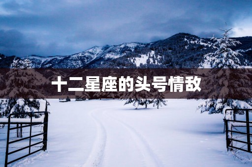 十二星座的头号情敌
